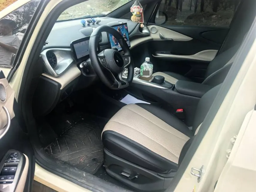 BYD 2025 Dolphin Smart Driving 410km Fashion Automatic Gear 5
