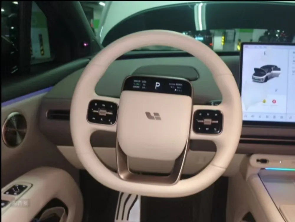 Li 2025 I 300.00g Drive Standard Edition Automatic Gear 5