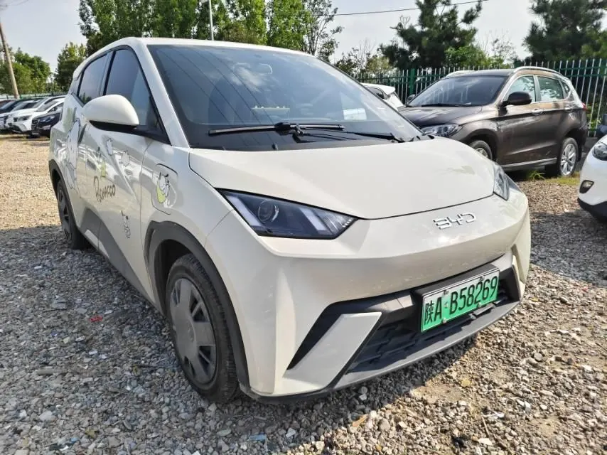 BYD 2025 seagulls 305km dynamic version of automatic gear 3