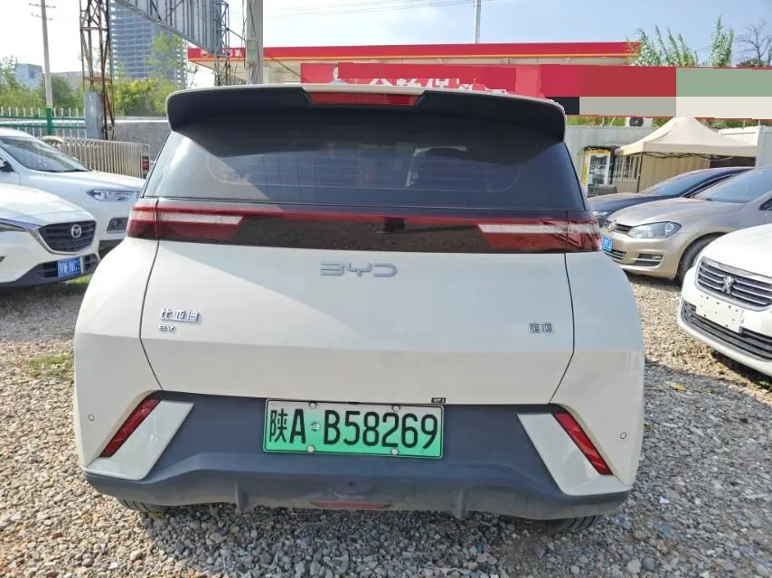 BYD 2025 seagulls 305km dynamic version of automatic gear 5