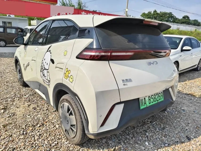 BYD 2025 seagulls 305km dynamic version of automatic gear 6