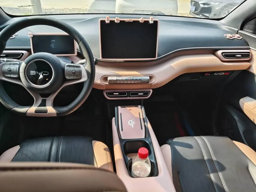 BYD 2025 seagulls 305km dynamic version of automatic gear 9