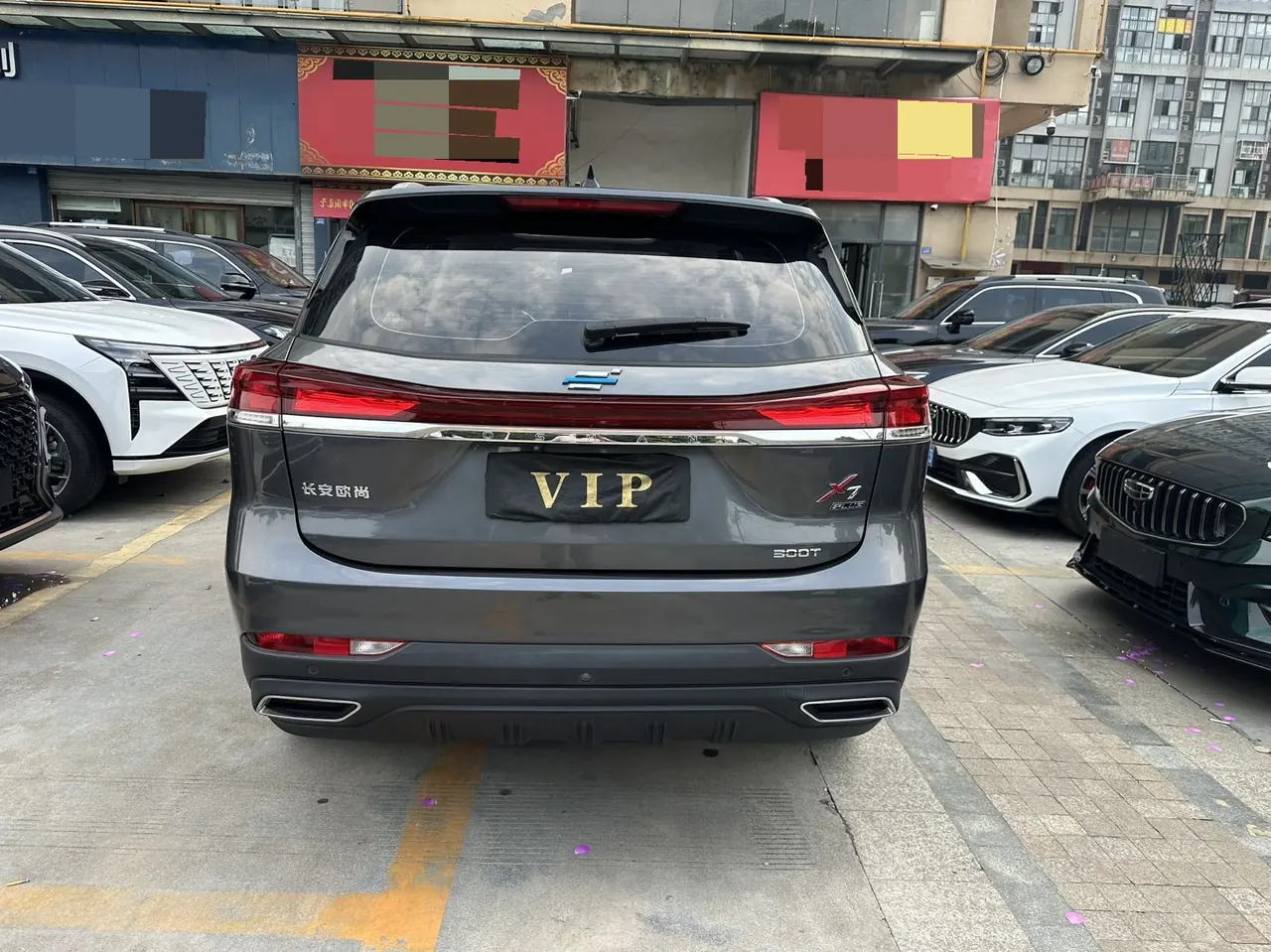 ChangAn Oshan Oshan X7 PLUS 2022 X7 PLUS 1.5T Blue Whale Honorable Automatic Gear 9