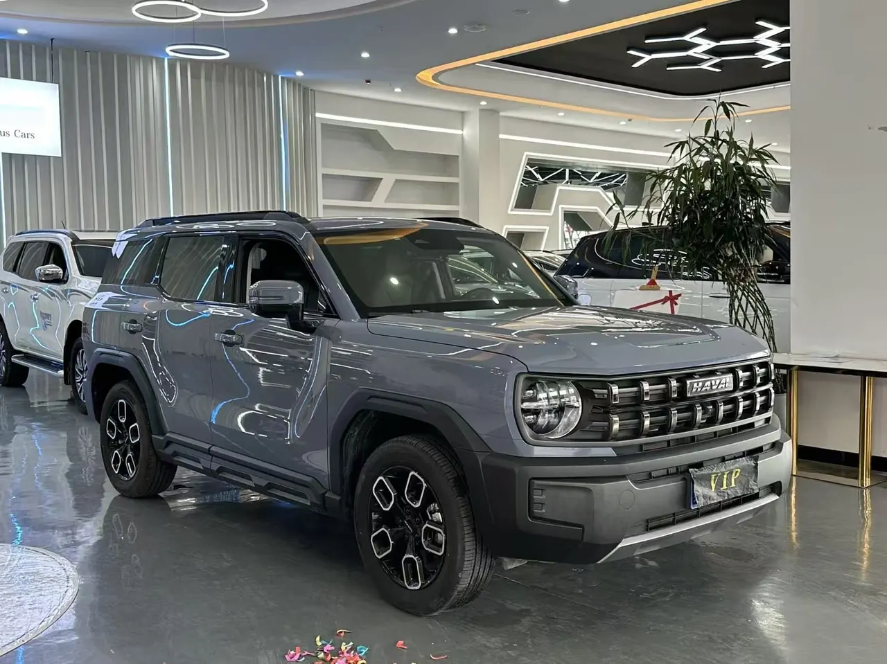 Haval 2022 Cool Dog 1.5T 4-wheel Drive Chaoye Edition Automatic Gear 3