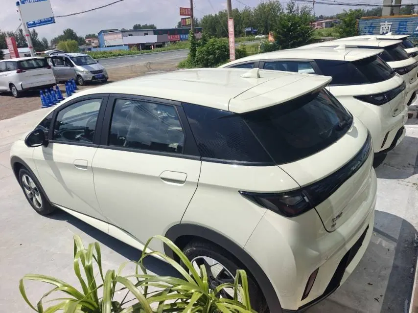 BYD 2025 Dolphins 420km Free Edition Automatic 3