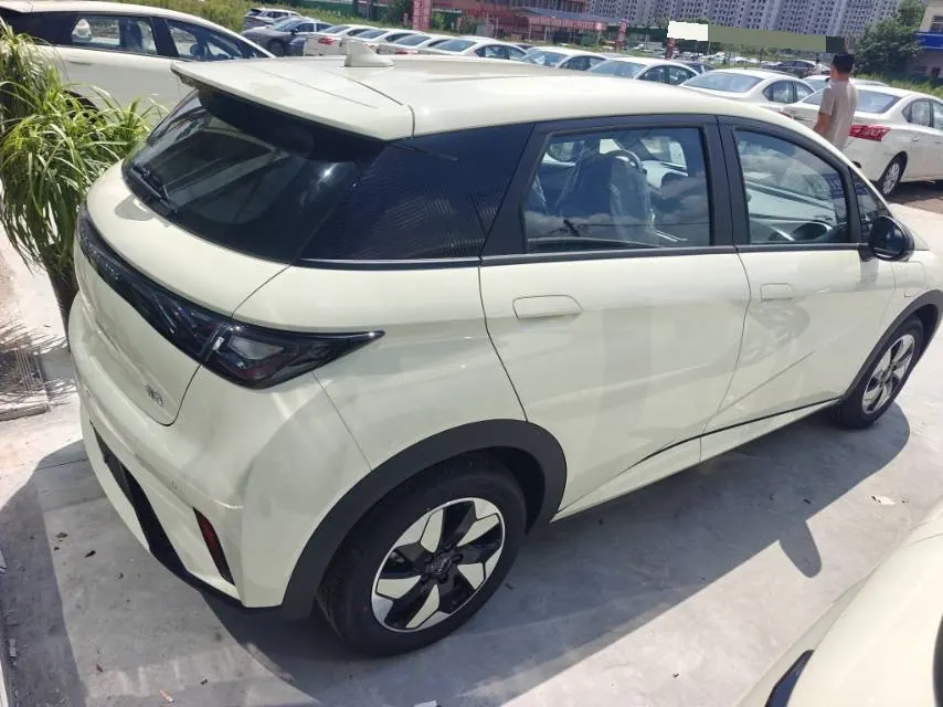 BYD 2025 Dolphins 420km Free Edition Automatic 4