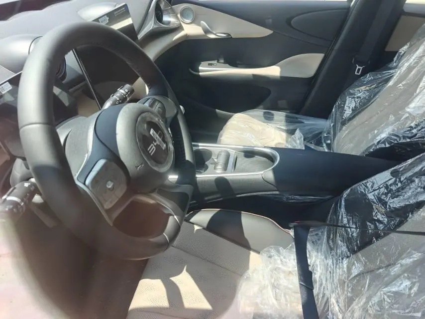 BYD 2025 Dolphins 420km Free Edition Automatic 5