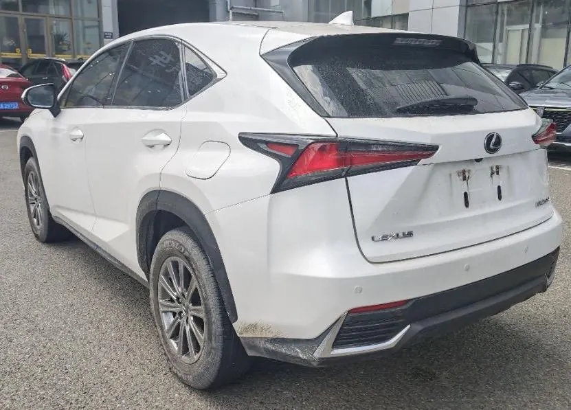 Lexus NX (Imported) 2020 NX200 2.0 Stepless Front Edition Automatic Gear 4