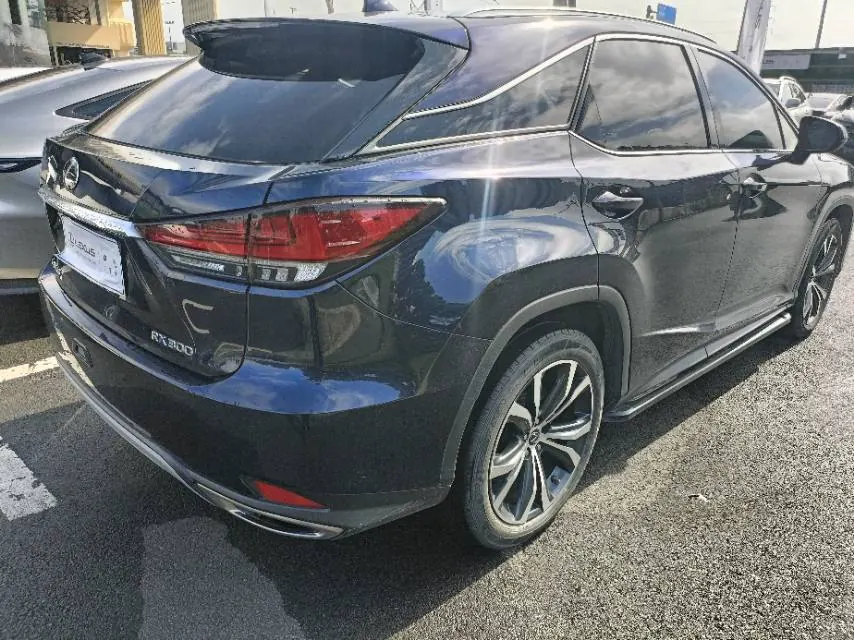 Lexus RX (Imported) 2020 RX300 2.0T Four-wheel Drive Elegant Edition (Modified) Automatic Gear 2
