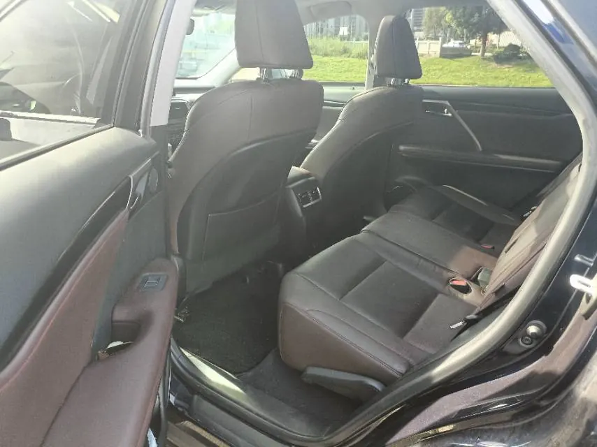 Lexus RX (Imported) 2020 RX300 2.0T Four-wheel Drive Elegant Edition (Modified) Automatic Gear 4