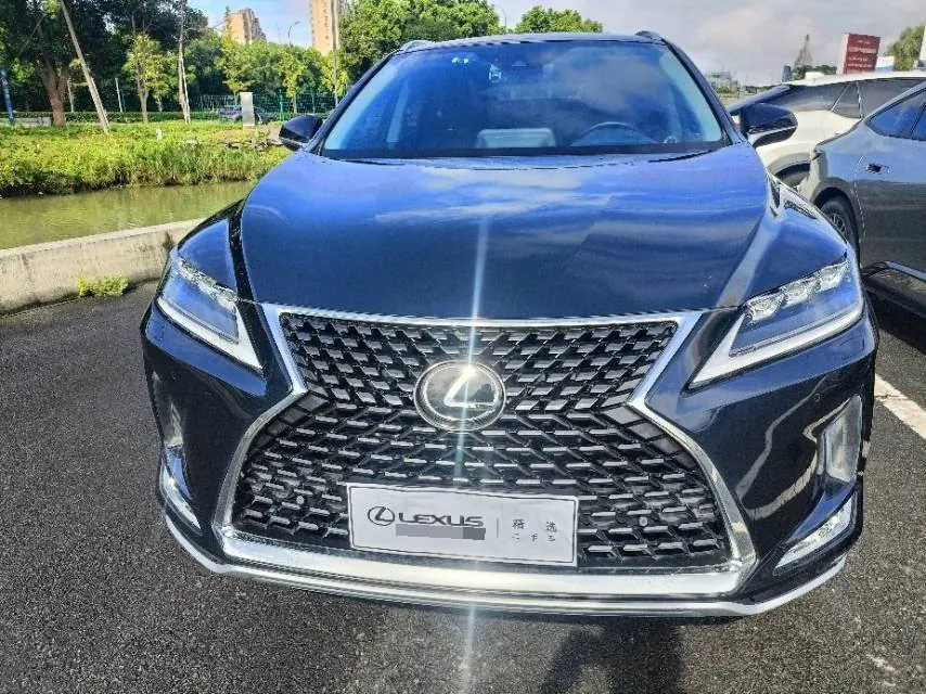 Lexus RX (Imported) 2020 RX300 2.0T Four-wheel Drive Elegant Edition (Modified) Automatic Gear 6