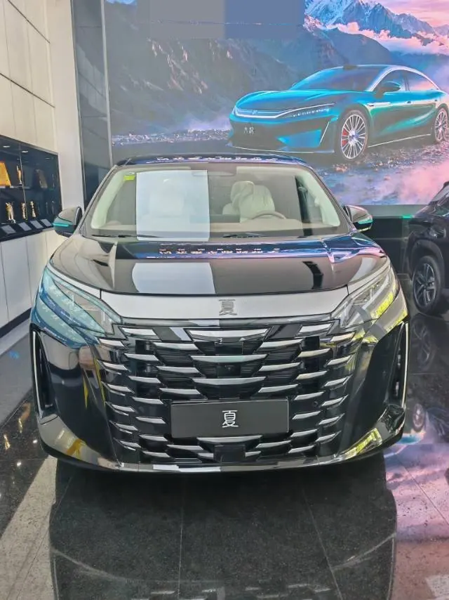 BYD 2025 summer DM-i 1.5T stepless 180km excellent automatic gear 2