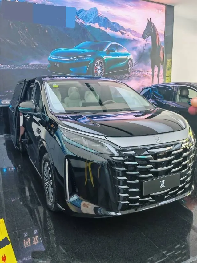 BYD 2025 summer DM-i 1.5T stepless 180km excellent automatic gear 3