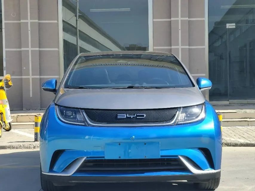 BYD 2021 Dolphins 401km Knight Edition Automatic Gear 2