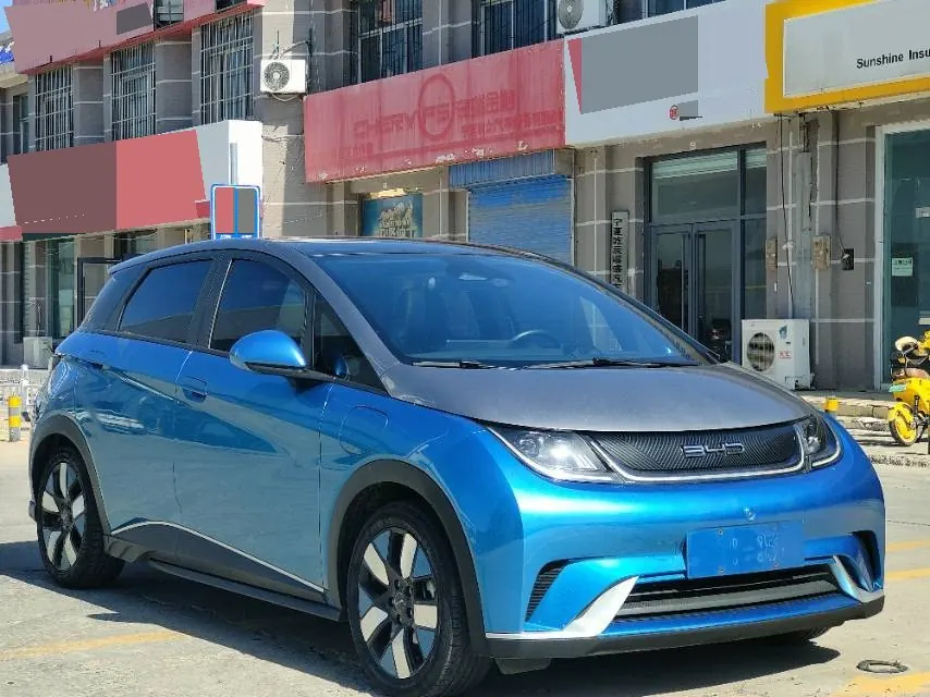 BYD 2021 Dolphins 401km Knight Edition Automatic Gear 3