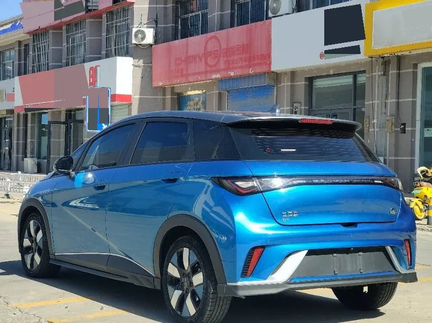 BYD 2021 Dolphins 401km Knight Edition Automatic Gear 7