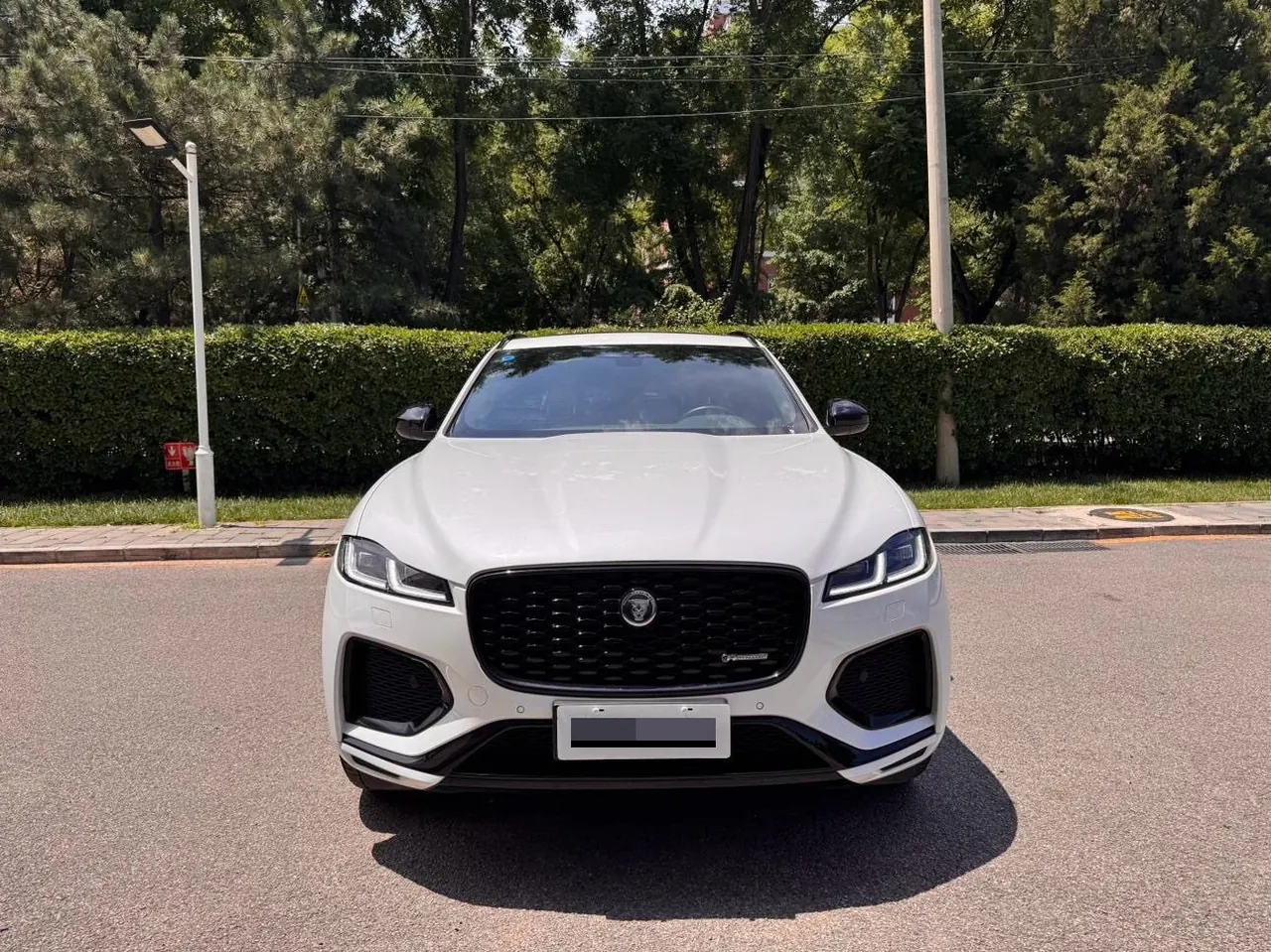 Jaguar F-PACE (Imported) 2024 F-PACE 2.0T P250 R-Dynamic SE Automatic Gear 2