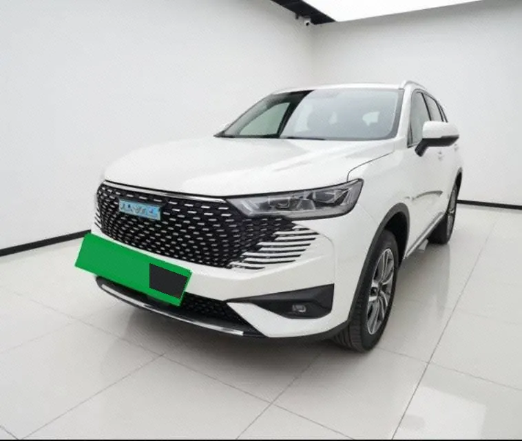 Haval H6 New Energy 2023 H6 PHEV 1.5T 110KM Yuexing Edition Automatic Gear - View 1