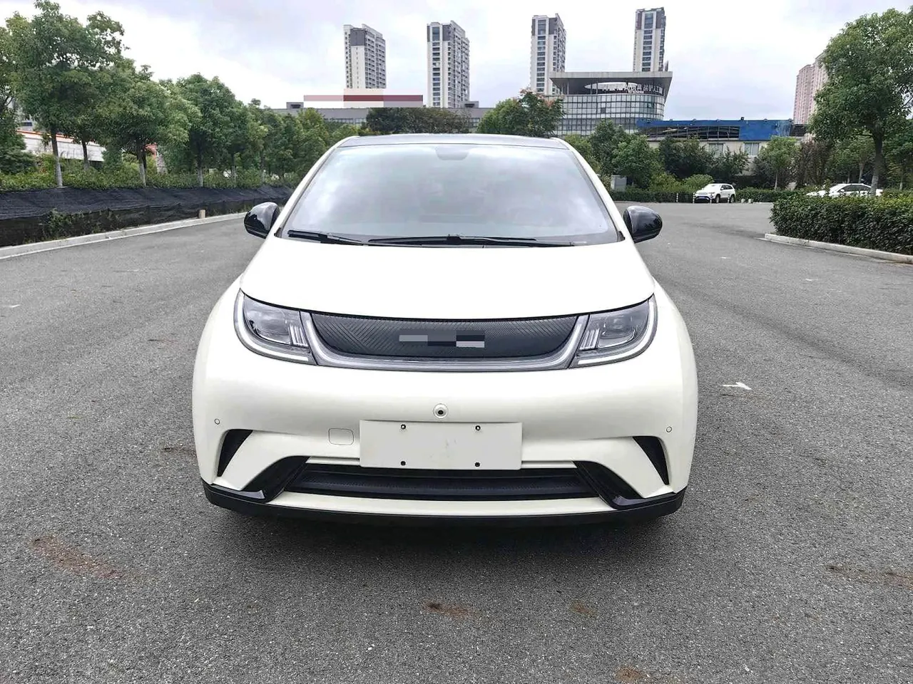 BYD 2023 Dolphin 420km Fashion Edition Automatic 5