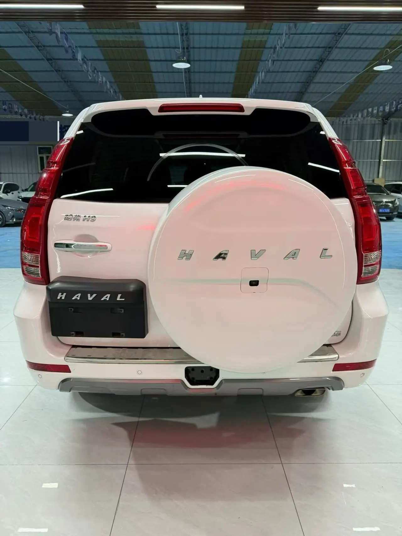 Haval 2020 H9 2.0T 4-wheel drive exclusive 5-seat automatic gear 7