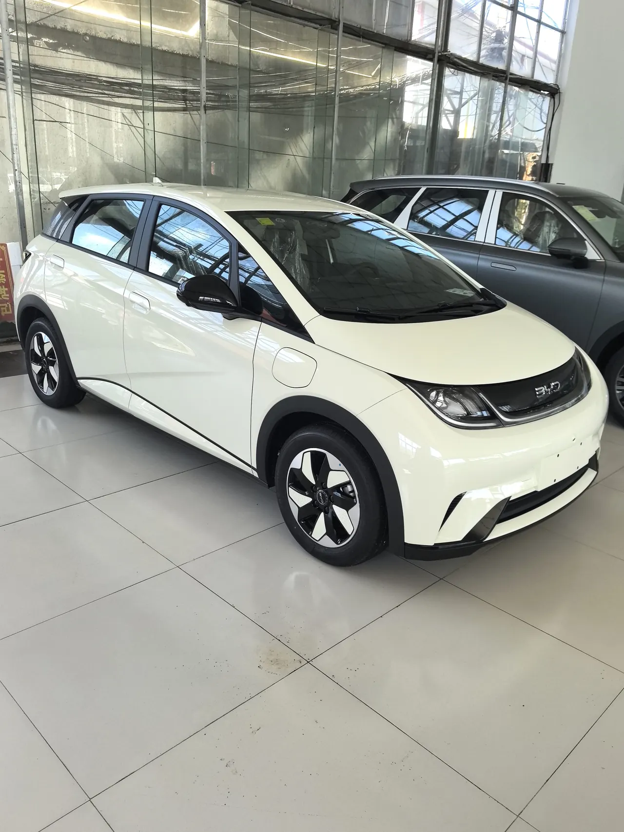 BYD 2025 Dolphins 420km Free Edition Automatic 2