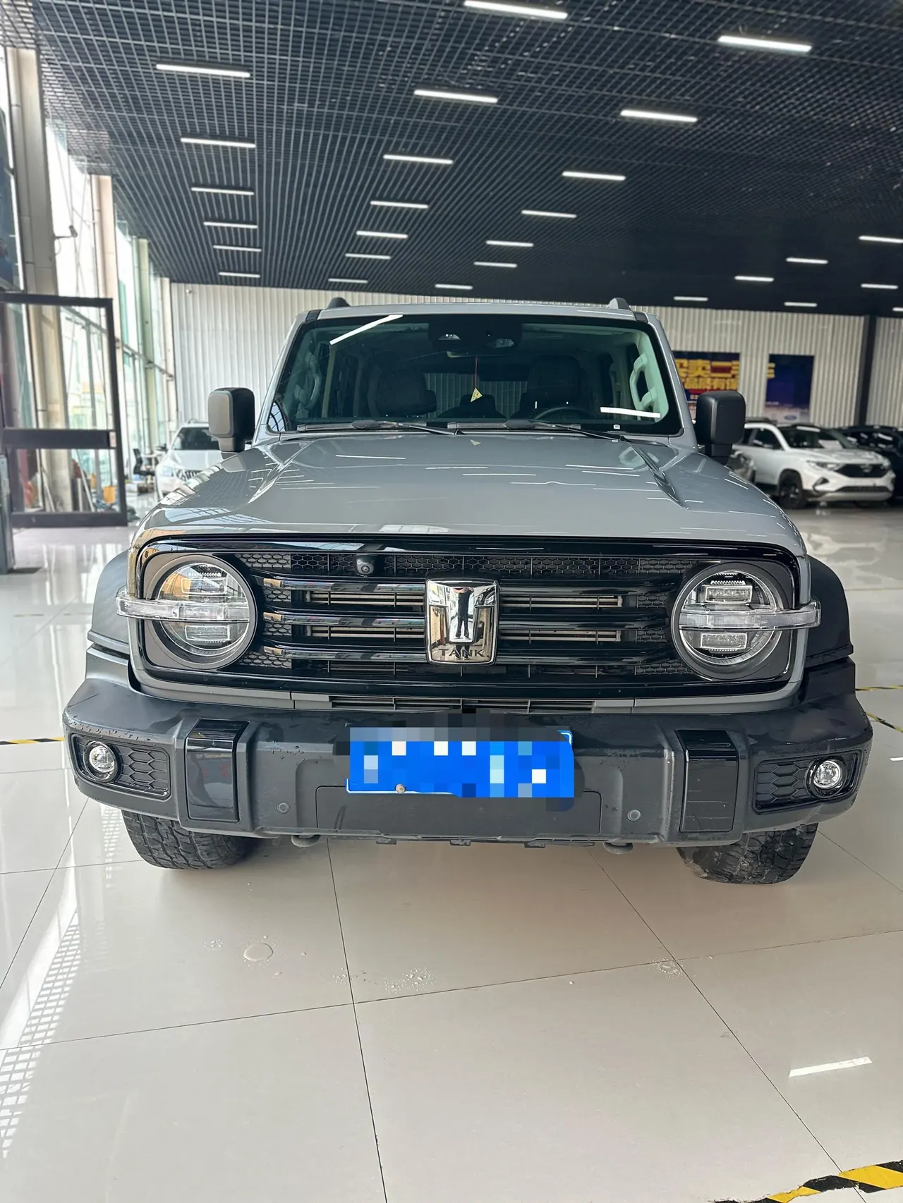 Tank 2023 Tank 300 2.0T Off-road Conqueror Automatic 2