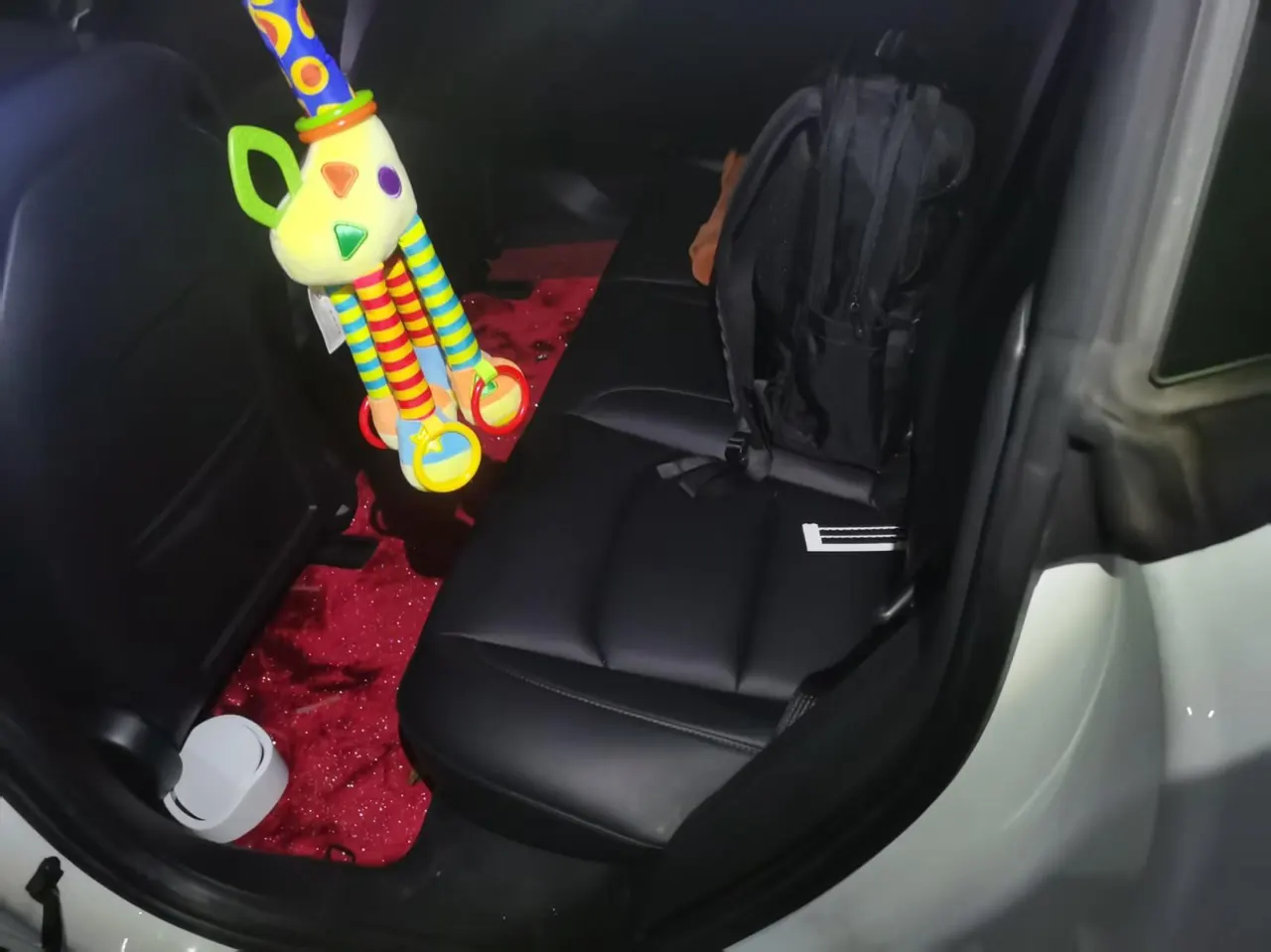 Tesla 2020 Model 3 Standard Endurance Rear Drive Upgraded Automatic Gear 4