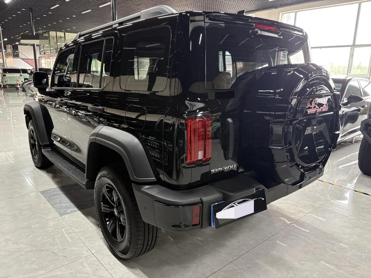 Tank 2025 Tank 300 2.0T Conqueror Automatic 7