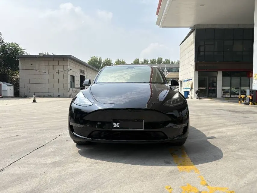 Tesla 2021 Model Y Standard Endurance Rear Drive Automatic Gear 2