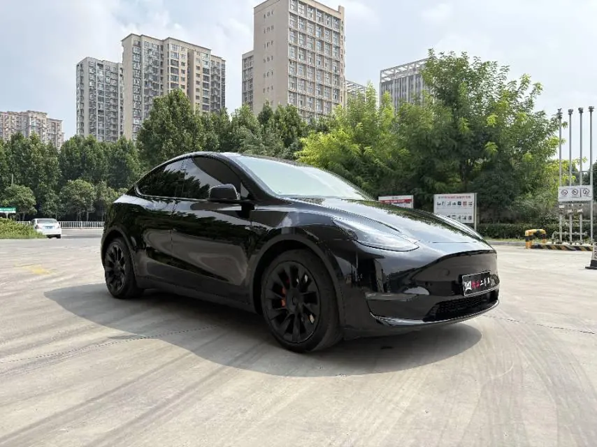 Tesla 2021 Model Y Standard Endurance Rear Drive Automatic Gear 3
