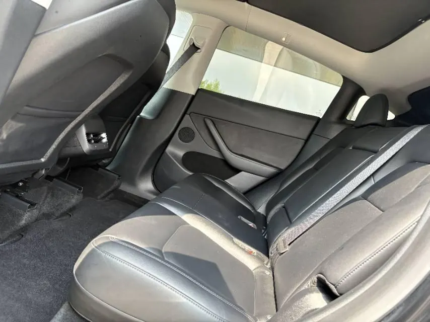 Tesla 2021 Model Y Standard Endurance Rear Drive Automatic Gear 6