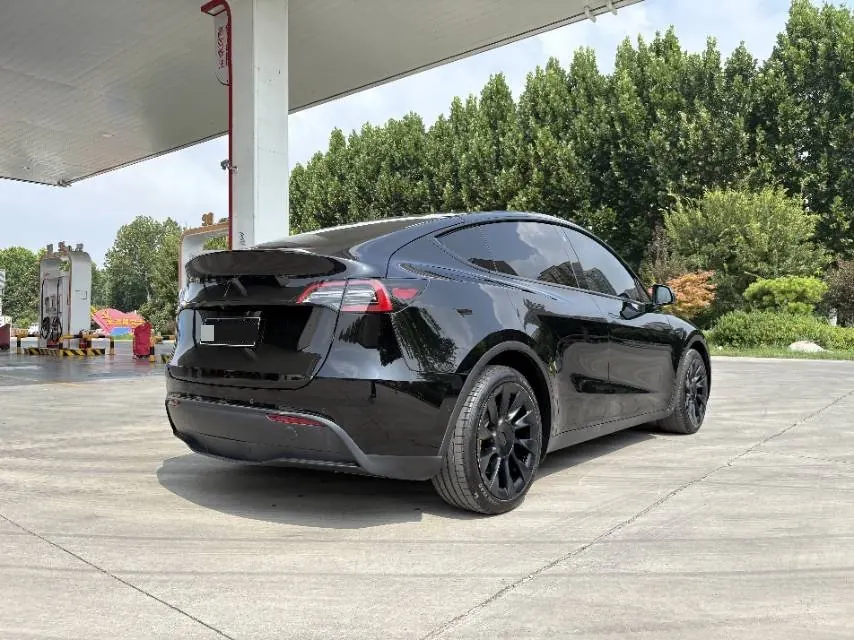 Tesla 2021 Model Y Standard Endurance Rear Drive Automatic Gear 7