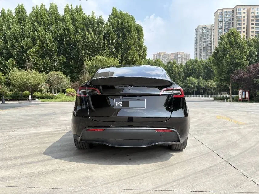 Tesla 2021 Model Y Standard Endurance Rear Drive Automatic Gear 8