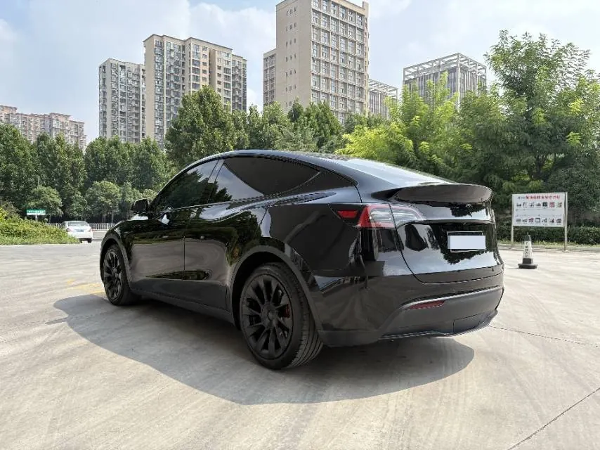 Tesla 2021 Model Y Standard Endurance Rear Drive Automatic Gear 9