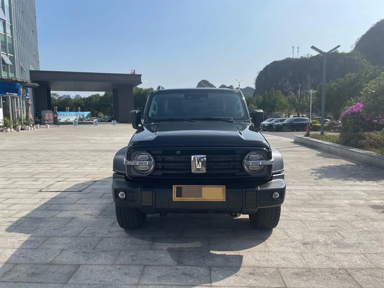 Tank 2021 Tank 300 2.0T Off-road Conqueror Automatic 2