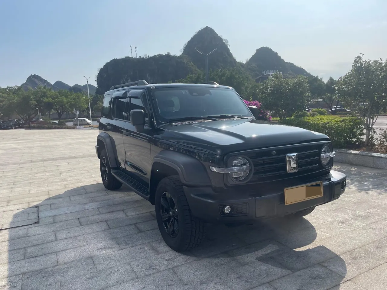 Tank 2021 Tank 300 2.0T Off-road Conqueror Automatic 3