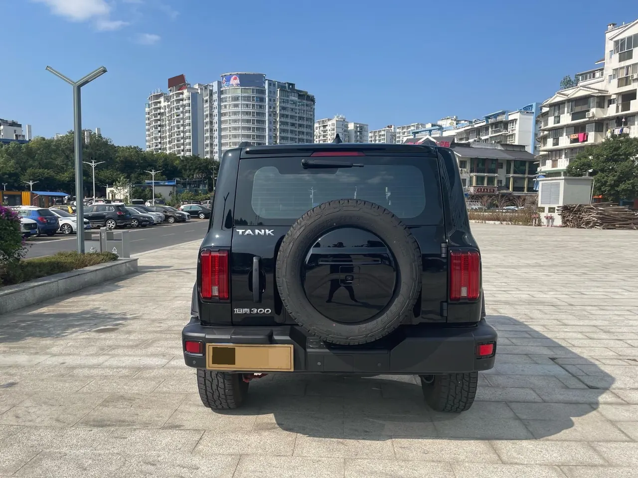 Tank 2021 Tank 300 2.0T Off-road Conqueror Automatic 5