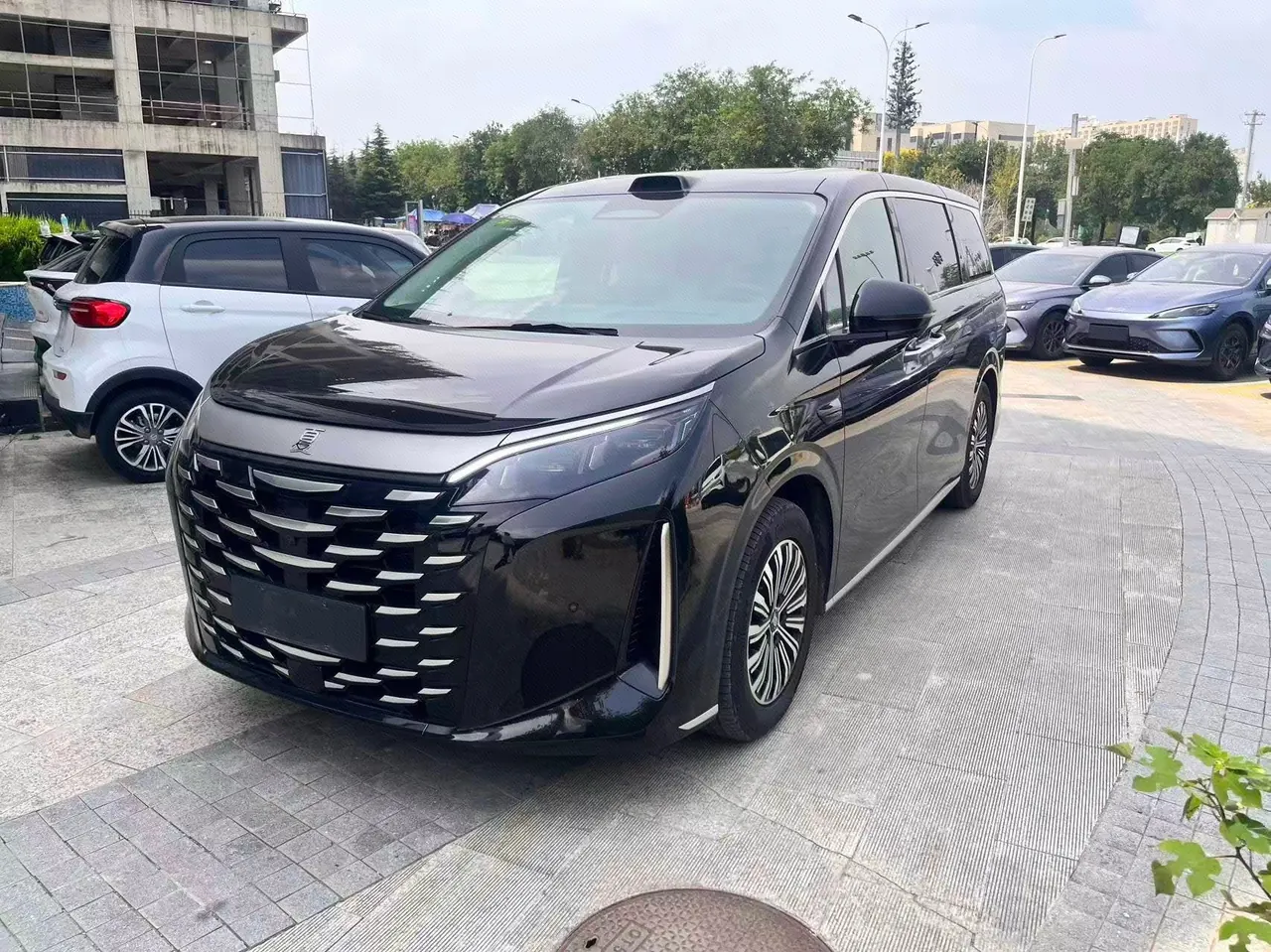 Open image lightbox: BYD 2026 Summer DM-i 1.5T CVT 218km Exceed Model Automatic