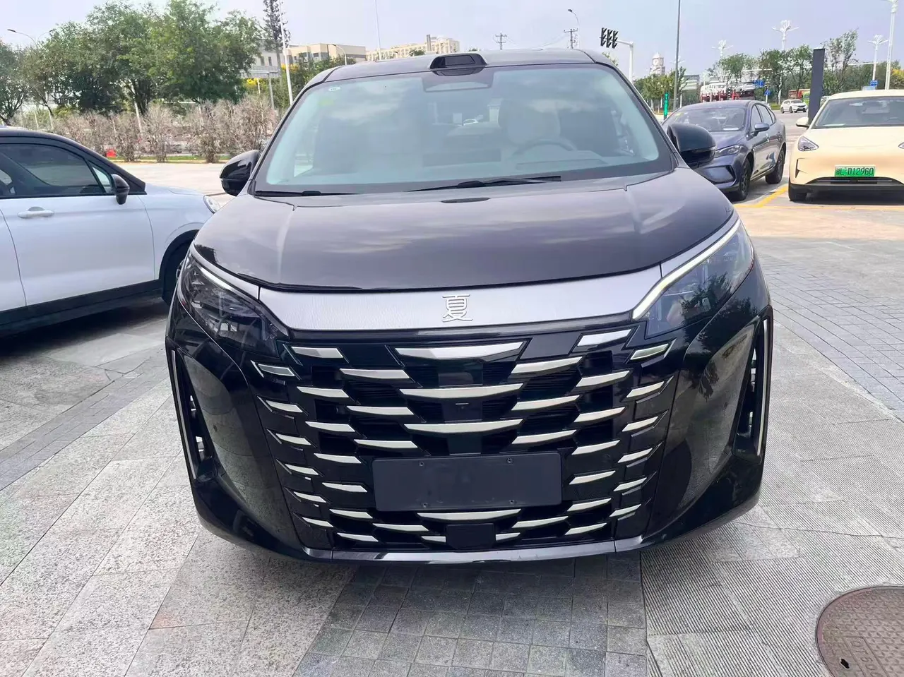 BYD 2026 Summer DM-i 1.5T CVT 218km Exceed Model Automatic 2
