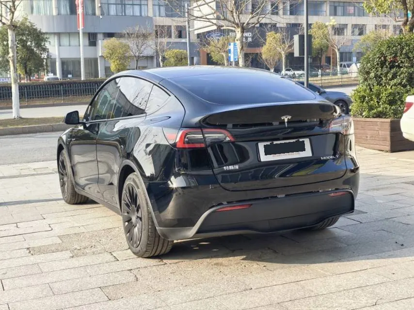 Tesla 2021 Model Y Standard Endurance Rear Drive Automatic Gear 4
