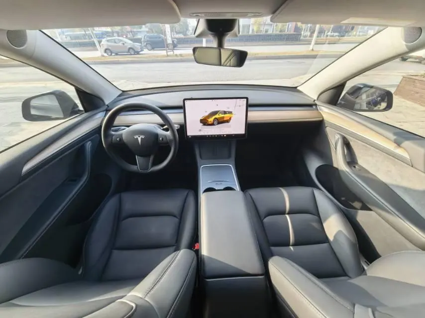 Tesla 2021 Model Y Standard Endurance Rear Drive Automatic Gear 5