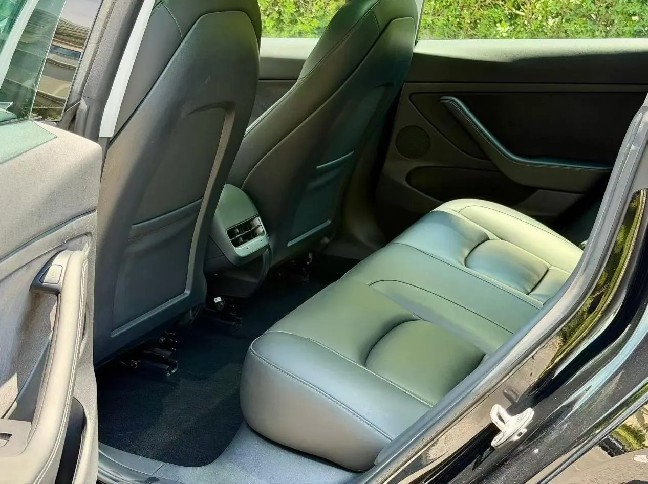 Tesla 2021 Model 3 Standard Endurance Rear Drive Upgraded Automatic Gear 3