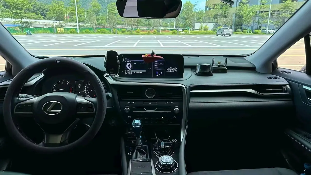 Lexus RX (Imported) 2020 RX300 2.0T Two-Drive Elite Edition (Revised) Automatic Gear 5
