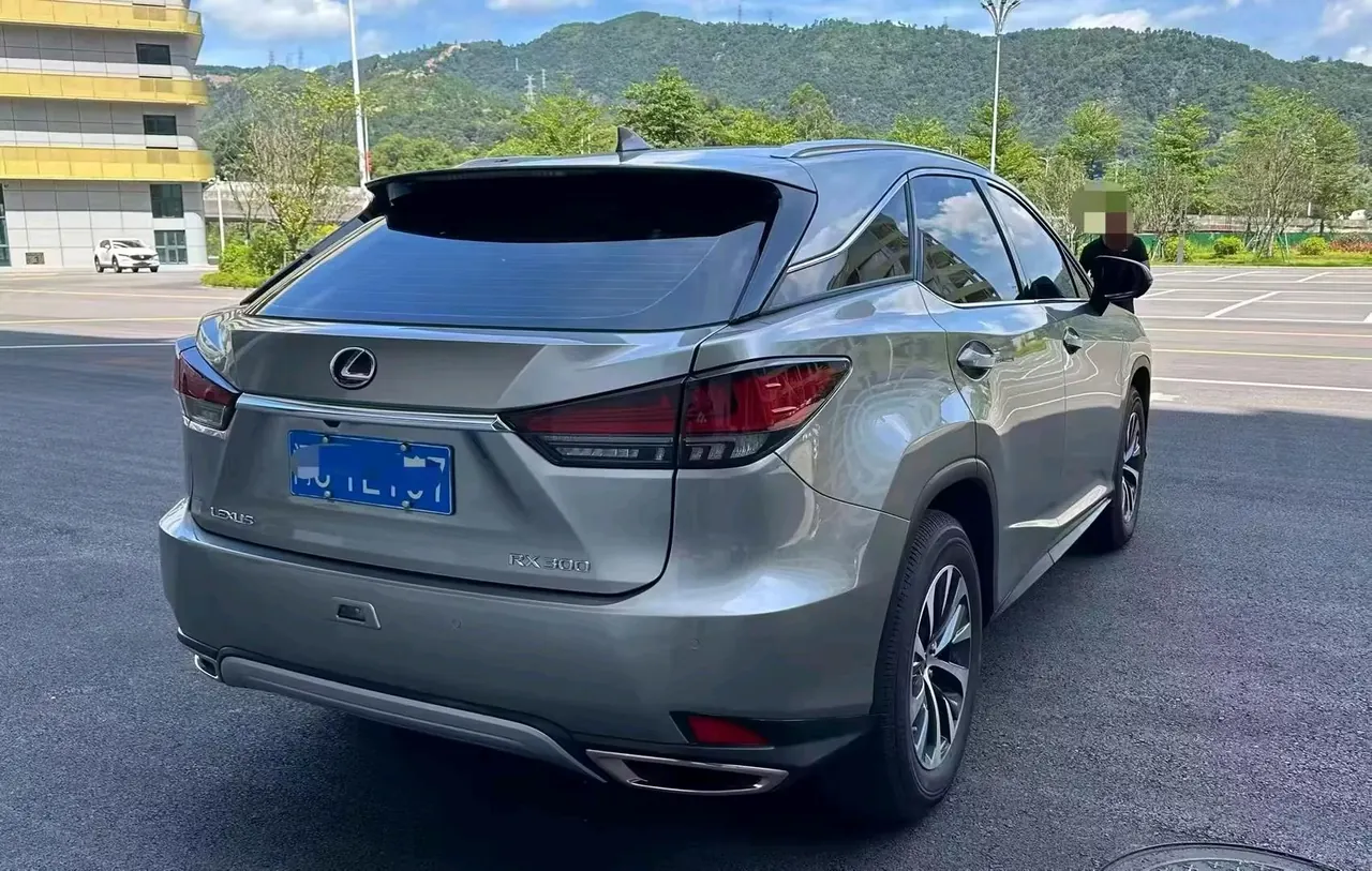 Lexus RX (Imported) 2020 RX300 2.0T Two-Drive Elite Edition (Revised) Automatic Gear 7