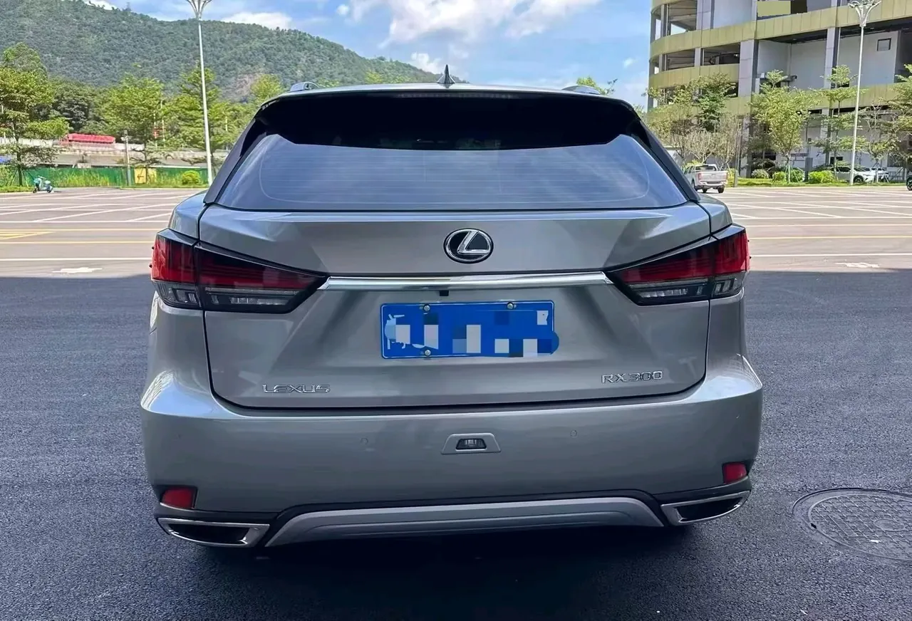 Lexus RX (Imported) 2020 RX300 2.0T Two-Drive Elite Edition (Revised) Automatic Gear 8