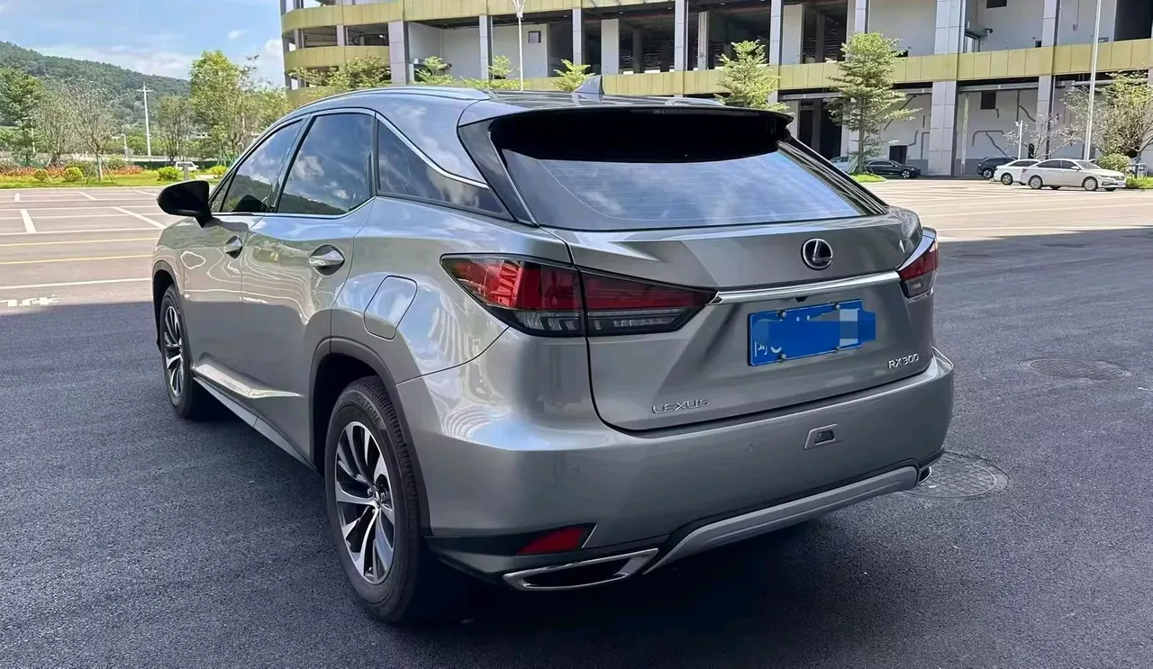 Lexus RX (Imported) 2020 RX300 2.0T Two-Drive Elite Edition (Revised) Automatic Gear 9