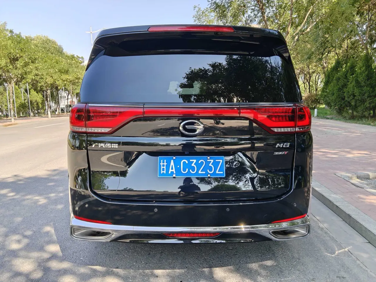 Chuanqi 2021 M8 2.0T 390T Leading Show Series Distinguished Welfare Edition Automatic Gear 4