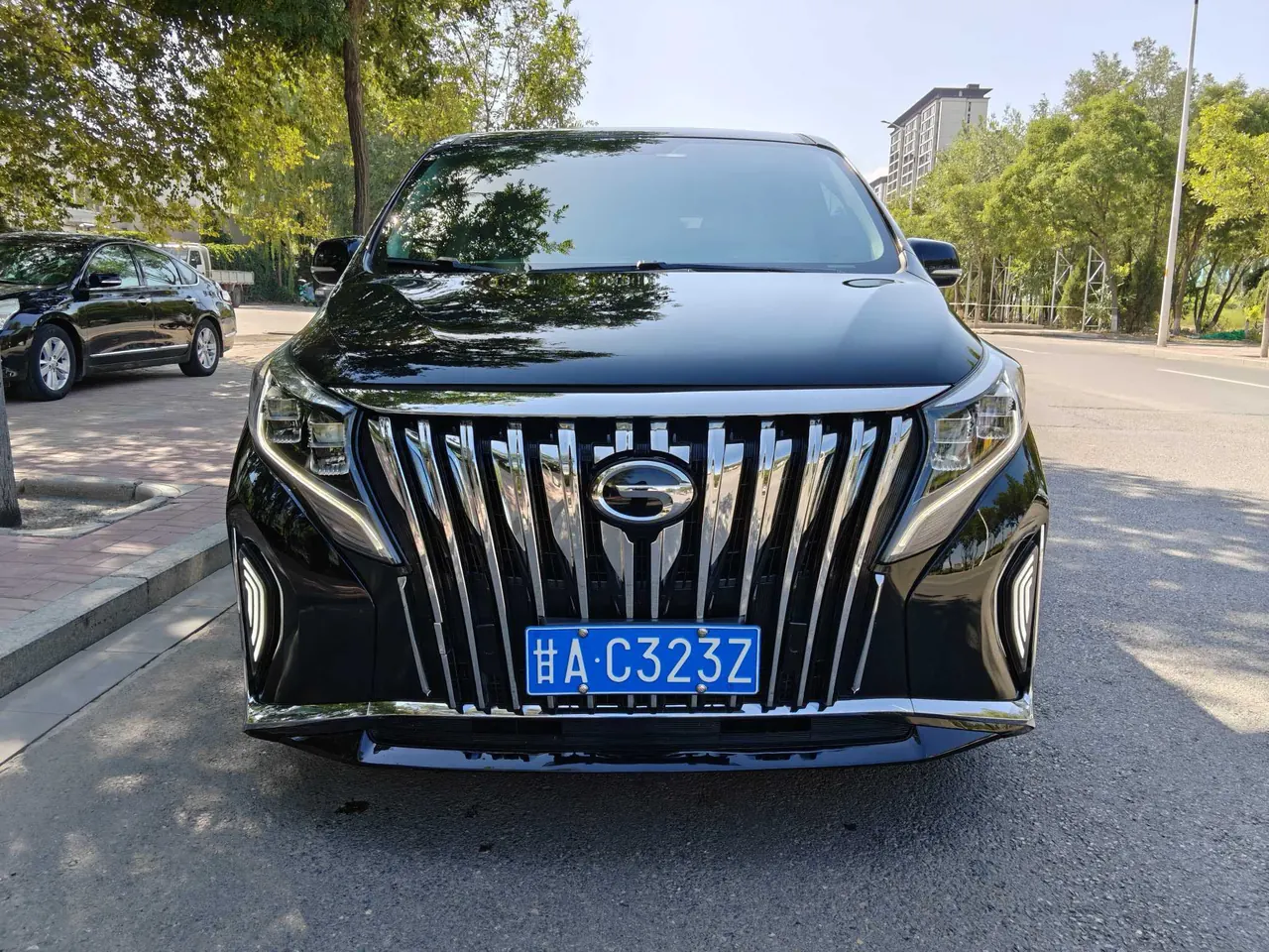 Chuanqi 2021 M8 2.0T 390T Leading Show Series Distinguished Welfare Edition Automatic Gear 6