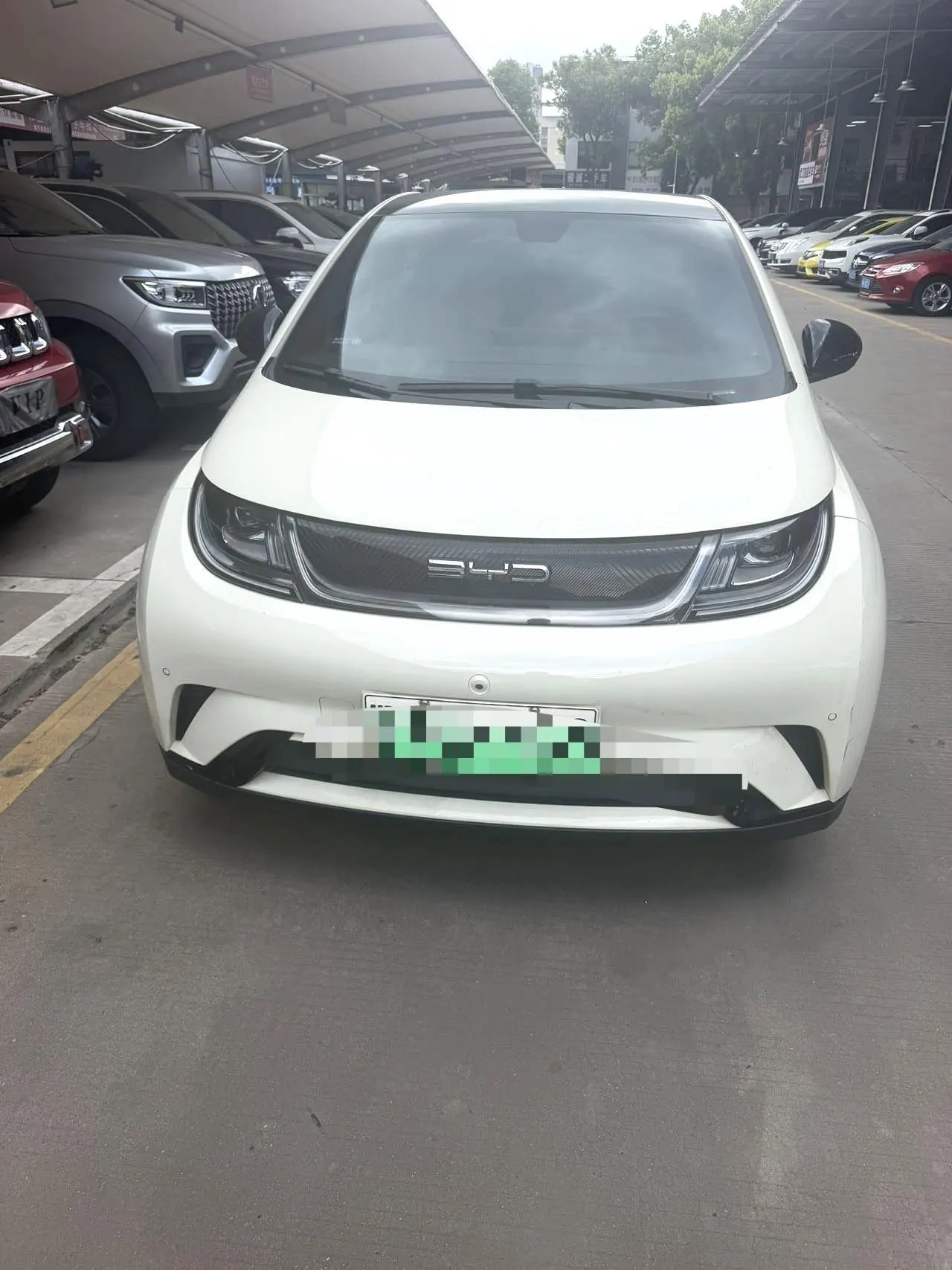 BYD 2023 Dolphin 420km Fashion Edition Automatic 2