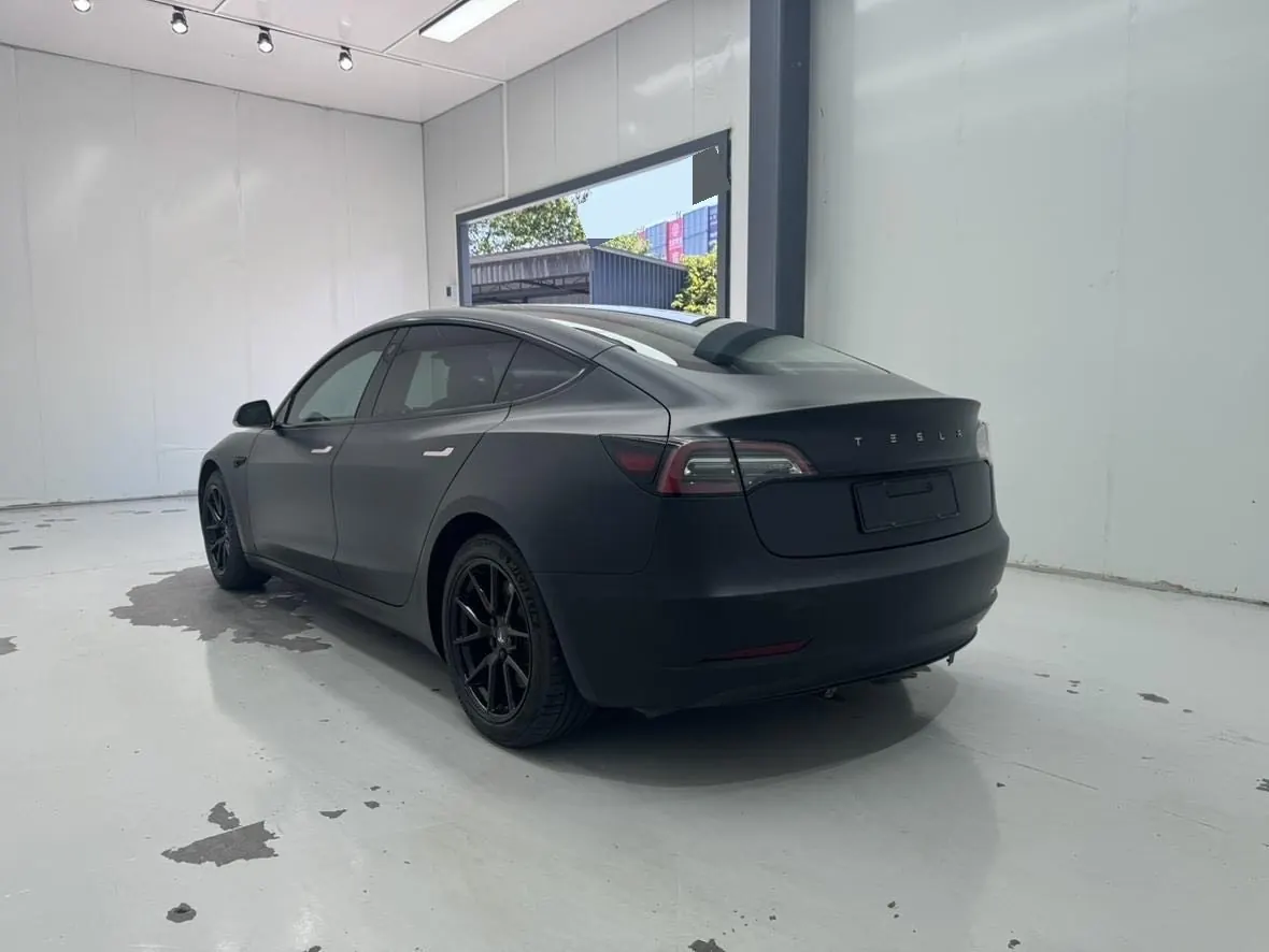 Tesla 2021 Model 3 Standard Endurance Rear Drive Upgraded Automatic Gear 12
